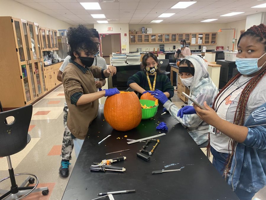 Pumpkin Carving in Biotechnology!